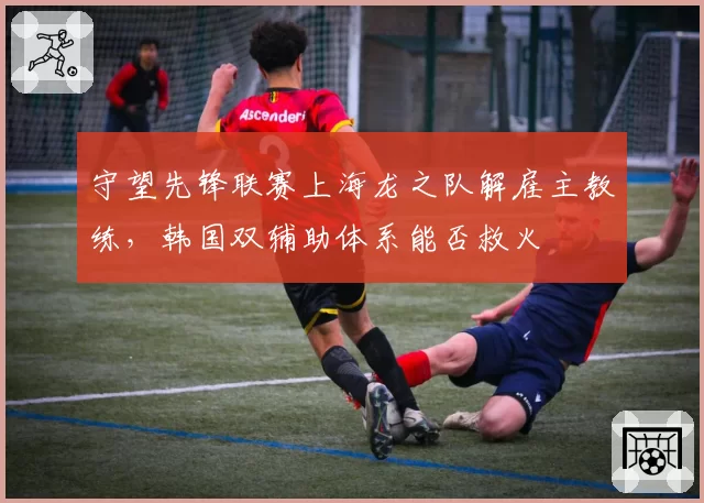 守望先锋联赛上海龙之队解雇主教练，韩国双辅助体系能否救火