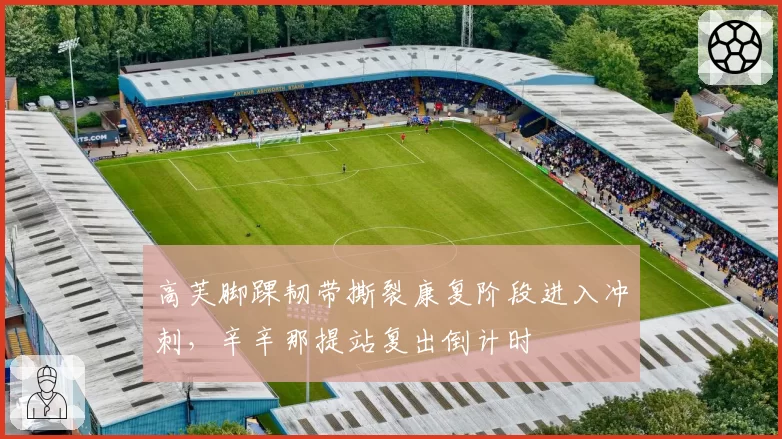 高芙脚踝韧带撕裂康复阶段进入冲刺,辛辛那提站复出倒计时