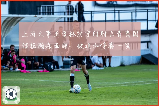 上海久事王哲林防守时肘击青岛国信杨瀚森面部，被追加停赛一场